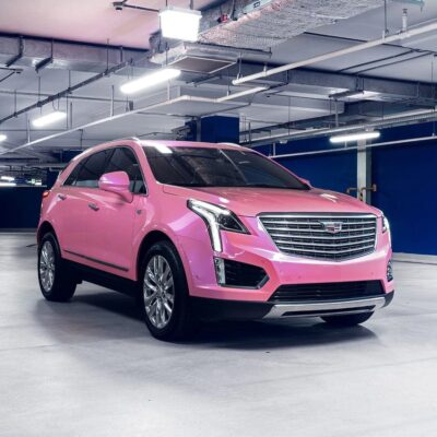 Wild Heather (DS05-HD) Vinyl Wrap 1.52X18M